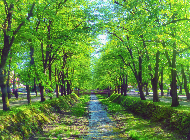 Most ljubavi, Vrnjačka Banja